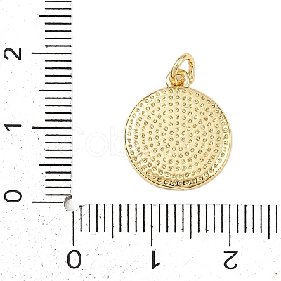 Brass Enamel Pendants KK-L251-02G-C05-1