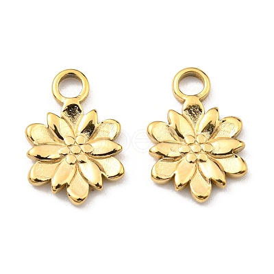 304 Stainless Steel Charm STAS-R124-03G-1