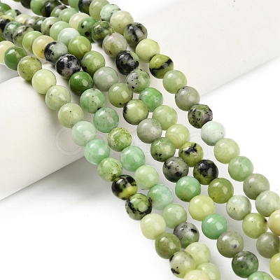 Natural Serpentine Beads Strands G-Z110-C04-6mm-1