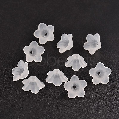 Transparent Acrylic Beads PL560-1