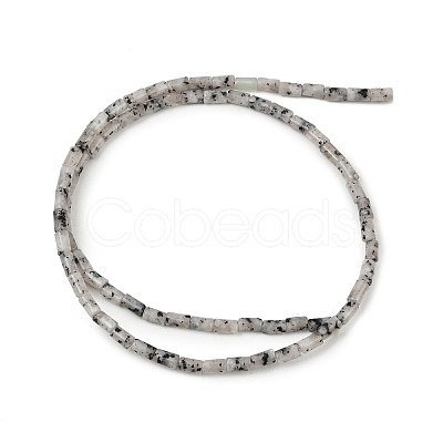 Natural Seame Jasper Beads Strands G-P600-B11-01-1