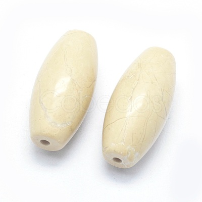 Natural Fossil Coral Beads G-P384-T15-1