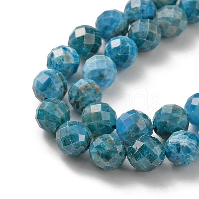 Natural Apatite Beads Strands LS-G-G927-32-8MM-1