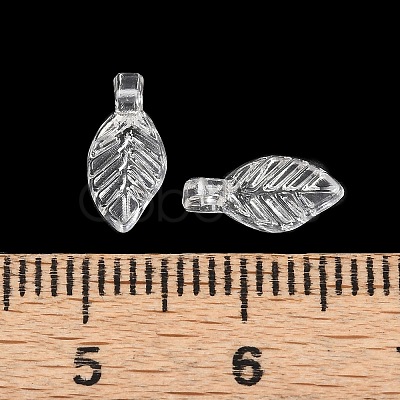 Transparent Acrylic Charms OACR-G054-02A-1