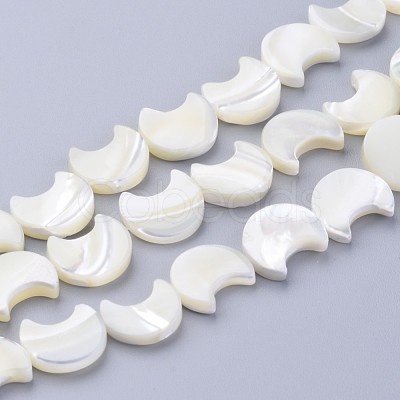 Natural White Shell Beads Strands SSHEL-12X11-1