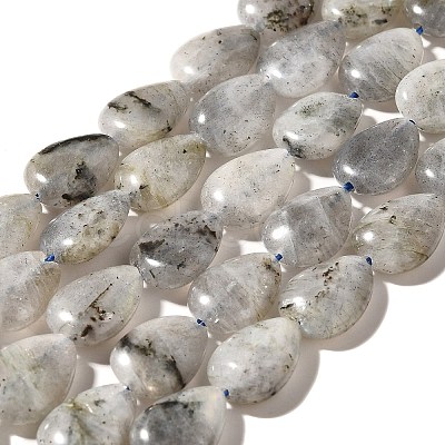 Natural Labradorite Beads Strands G-I377-A21-1