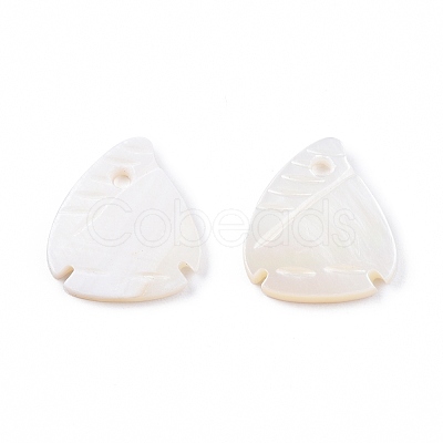 Natural Freshwater Shell Charms SHEL-N026-202-1