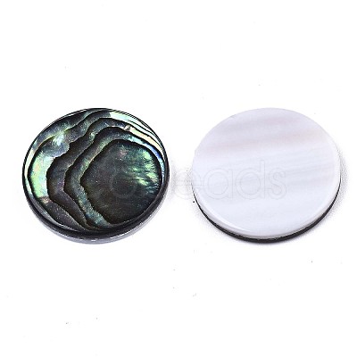 Natural Abalone Shell/Paua Shell Cabochons X-SSHEL-N034-72C-01-1