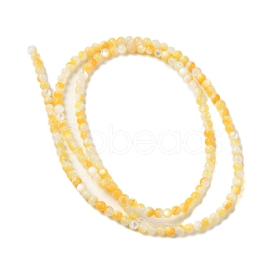Natural Yellow Shell Beads Strands SHEL-M021-03A-1