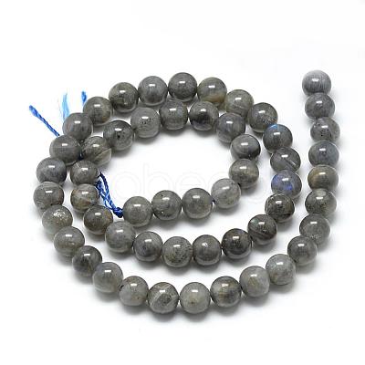 Natural Labradorite Beads Strands G-R446-10mm-14-1