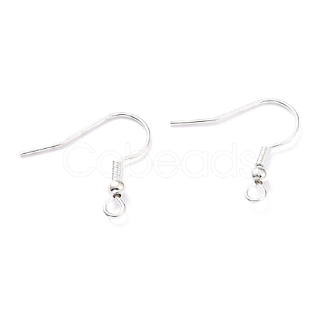 304 Stainless Steel Earring Hooks STAS-T031-17S-1