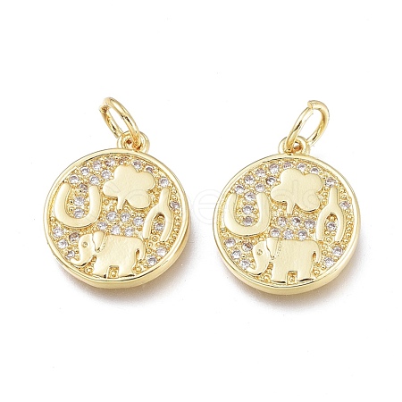 Brass Micro Pave Clear Cubic Zirconia Charms ZIRC-L076-050G-1