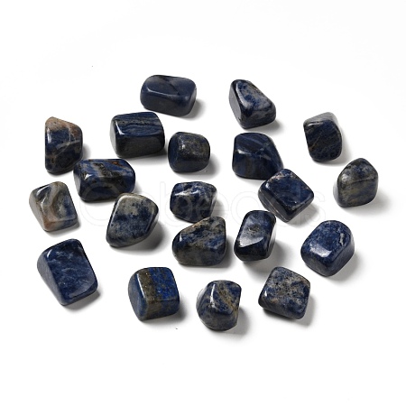 Natural Sodalite Beads G-O029-08P-1