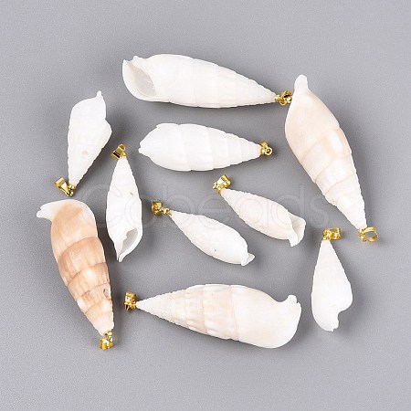 Spiral Shell Big Pendants SHEL-Q029-14KCG-1