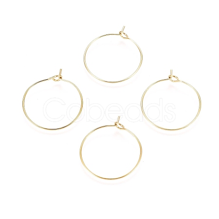 Ion Plating(IP) 316L Surgical Stainless Steel Hoop Earring Findings X-STAS-D164-03G-1