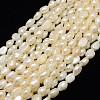 Natural Cultured Freshwater Pearl Beads Strands PEAR-L001-18-1