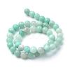 Natural Amazonite Beads Strands G-T055-10mm-17-2