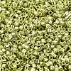 Electroplate Glass Seed Beads SEED-S042-01B-09-3