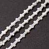 Natural Trochid Shell/Trochus Shell Beads SSHEL-O0001-22B-4