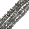 Natural Grey Moonstone Beads Strands G-A245-A05-01-1