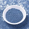 MIYUKI Delica Beads SEED-MY11-DB2132-2