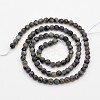 Faceted Round Natural Larvikite Beads Strands G-E302-083-4mm-2