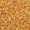 FGB Grade A Glass Seed Beads SEED-R007-FH32-1