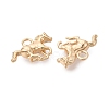 Brass Pendants X-KK-Q074-22G-2