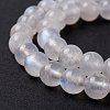 Natural Rainbow Moonstone Beads Strands G-I249-B04-04-3