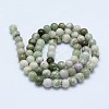 Natural Peace Jade Beads Strands G-I206-20-6mm-2