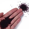 15/0 Transparent Czech Glass Seed Beads SEED-N004-004-19-5