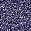 TOHO 11/0 Round Beads LS-X-SEED-TR11-PF0567-2