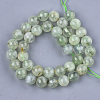 Natural Prehnite Beads Strands G-S333-10mm-032-2