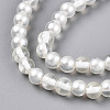 Baking Paint Transparent Glass Beads Strands DGLA-N011-6mm-01-3