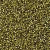MIYUKI Delica Beads X-SEED-J020-DB2164-3