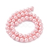 Shell Pearl Bead Strands X-BSHE-L025-06-8mm-8