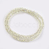 Electroplate Glass Beads Strands EGLA-J025-F24-2