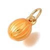 Brass Enamel Pendants KK-G605-09G-05-2
