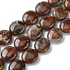 Natural Brecciated Jasper Beads Strands G-K365-B20-03-1