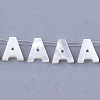 Natural Sea Shell Beads SHEL-T012-60-2
