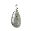 Natural Labradorite Pendants G-P474-01P-07-2
