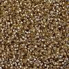 MIYUKI Delica Beads X-SEED-J020-DB2155-3