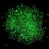Luminous Glass Seed Beads SEED-A033-07I-5