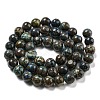 Natural Chrysocolla Beads Strands G-A219-A04-03-2