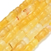 Natural Agate Beads Strands G-Z144-A02-01C-2
