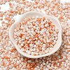 Baking Paint Glass Seed Beads SEED-F006-01A-10-2