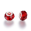Handmade Glass European Beads X-GPDL25Y-76-2
