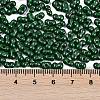 Baking Paint Glass Seed Beads X1-SEED-K010-A23-4