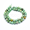 Natural Variscite Beads Strands G-G823-02-8mm-2
