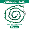 Natural Freshwater Shell Beads Strands BSHE-WH0006-05D-2